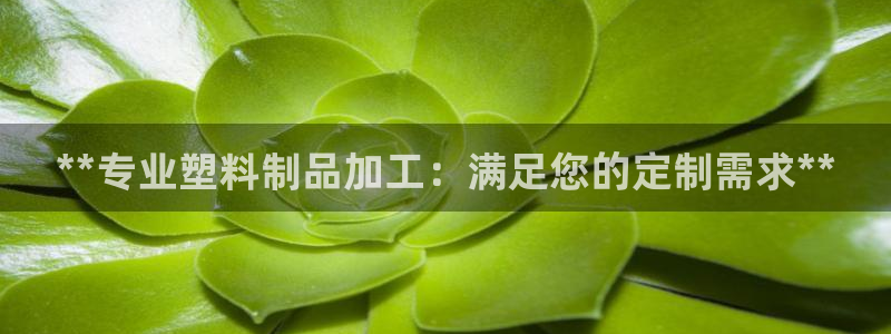 奥门太阳集团城：**专业塑料制品加工：满足您的定制需求**