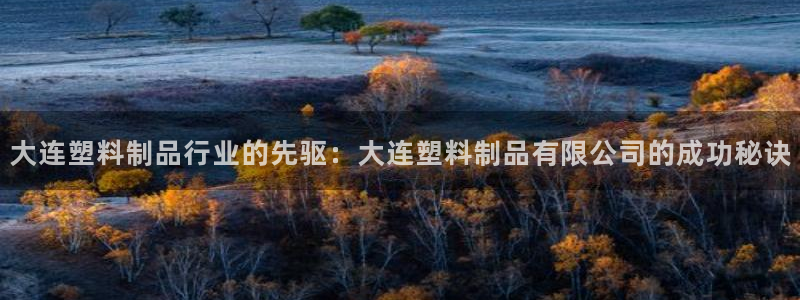 太阳诚集团是干什么的：大连塑料制品行业的先驱：大连塑料制品有