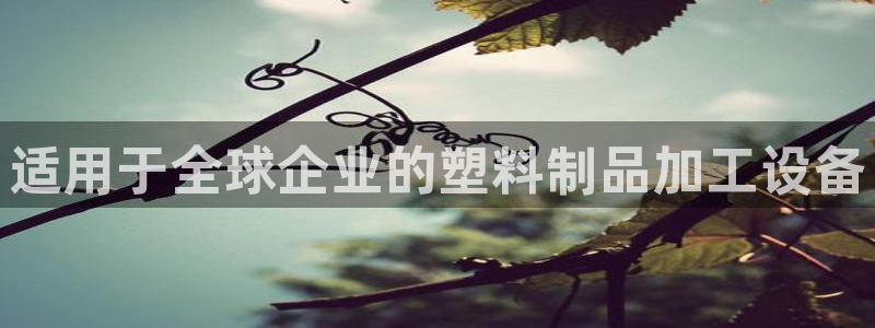 太阳集团电子游戏APP登录入口：适用于全球企业的塑料制品加工