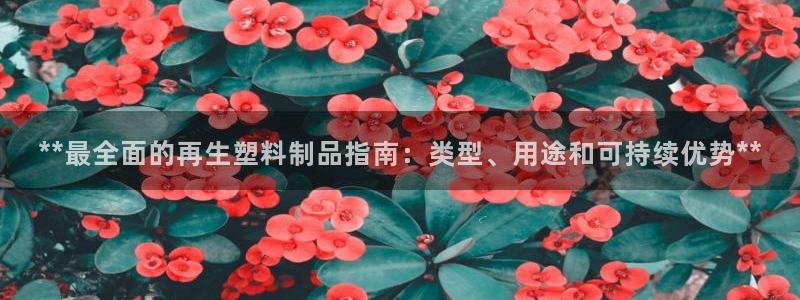 太阳集团网投：**最全面的再生塑料制品指南：类型、用途和可持