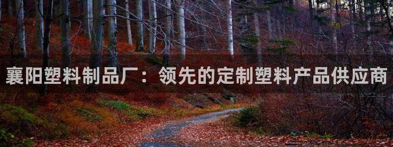 古天乐太阳集团广告：襄阳塑料制品厂：领先的定制塑料产品供应商