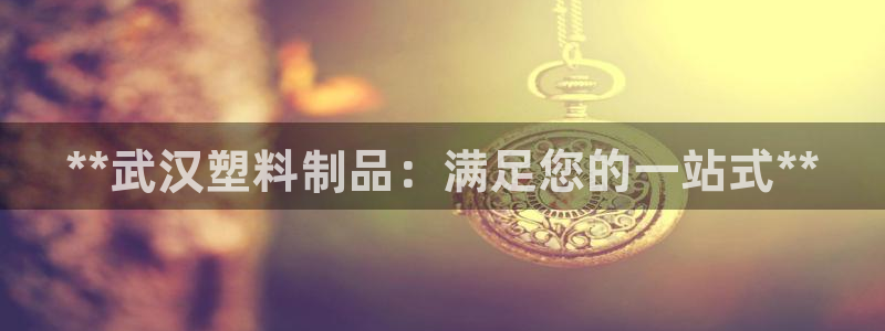 太阳控股集团有限公司董事长：**武汉塑料制品：满足您的一站式