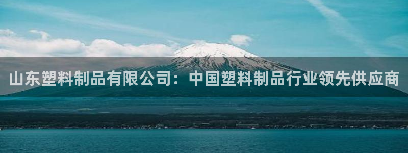 太阳gg注册地址：山东塑料制品有限公司：中国塑料制品行业领先