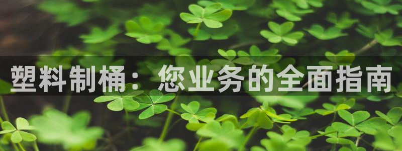 太阳集团董事长的儿子：塑料制桶：您业务的全面指南