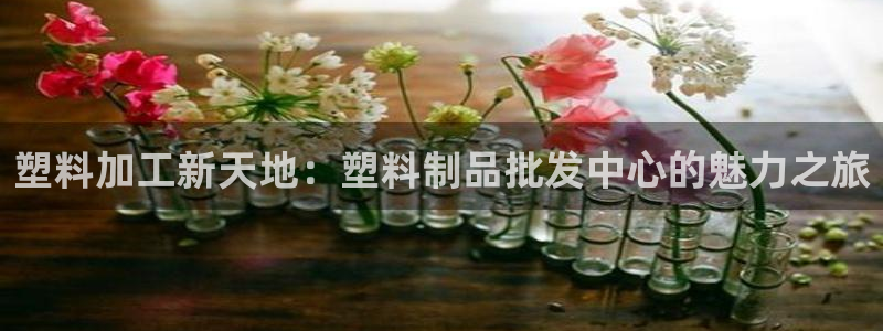 太阳游戏视频：塑料加工新天地：塑料制品批发中心的魅力之旅