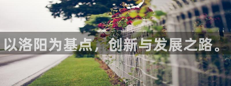 太阳集团洗米华菲律宾：以洛阳为基点，创新与发展之路。