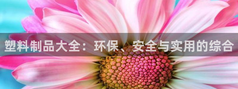 太阳集团股份有限公司招聘：塑料制品大全：环保、安全与实用的综