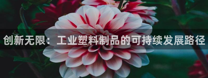 122cc太阳集成游戏官方网站：创新无限：工业塑料制品的可持