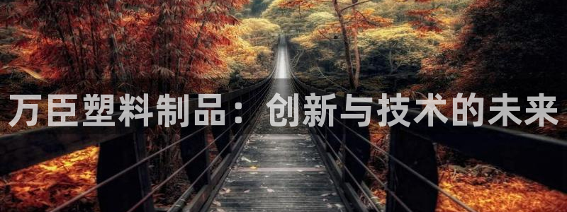太阳gg注册登录：万臣塑料制品：创新与技术的未来
