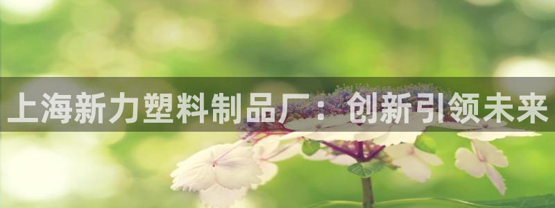 太阳集团2007：上海新力塑料制品厂：创新引领未来