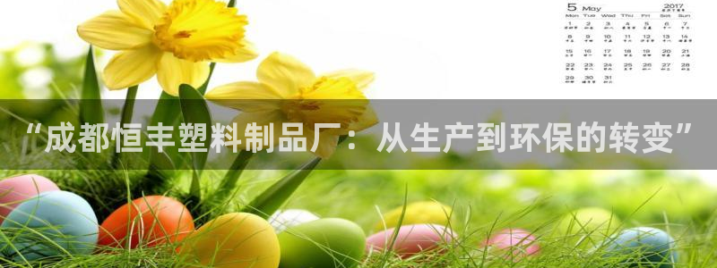 太阳集团董事长是谁：“成都恒丰塑料制品厂：从生产到环保的转变