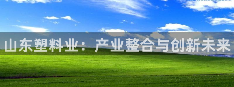 太阳app官方：山东塑料业：产业整合与创新未来
