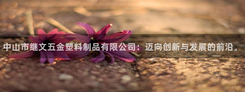 太阳成集团老板是谁：中山市继文五金塑料制品有限公司：迈向创新
