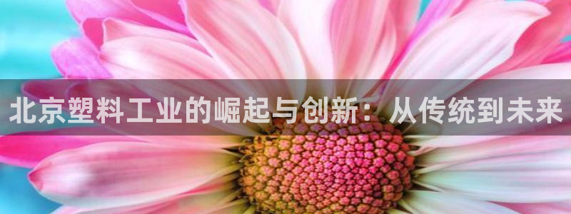 太阳集团是什么集团：北京塑料工业的崛起与创新：从传统到未来