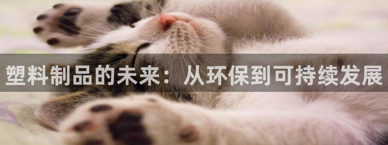 太阳集团城2017：塑料制品的未来：从环保到可持续发展