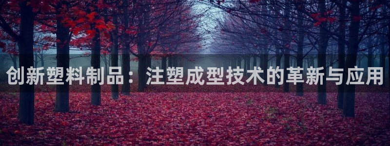 太阳1城集团网址是多少：创新塑料制品：注塑成型技术的革新与应