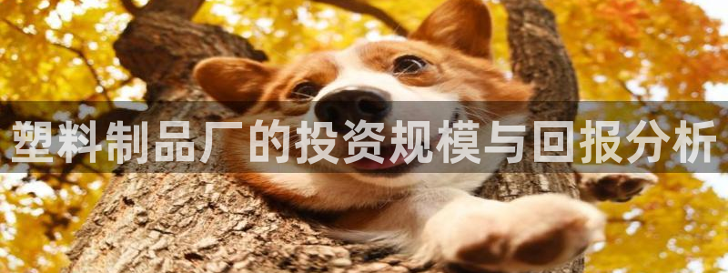 太阳集团网址8722：塑料制品厂的投资规模与回报分析