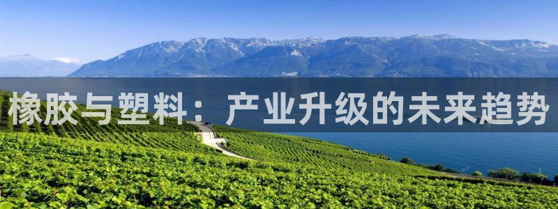古天乐代言太阳集团线路检测：橡胶与塑料：产业升级的未来趋势