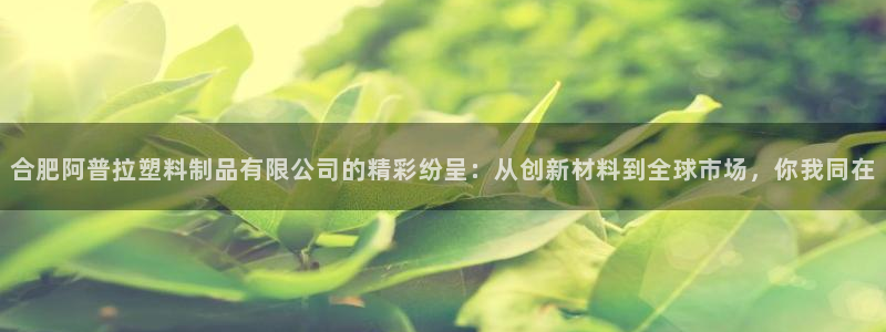 太阳集团在中国合法吗：合肥阿普拉塑料制品有限公司的精彩纷呈：