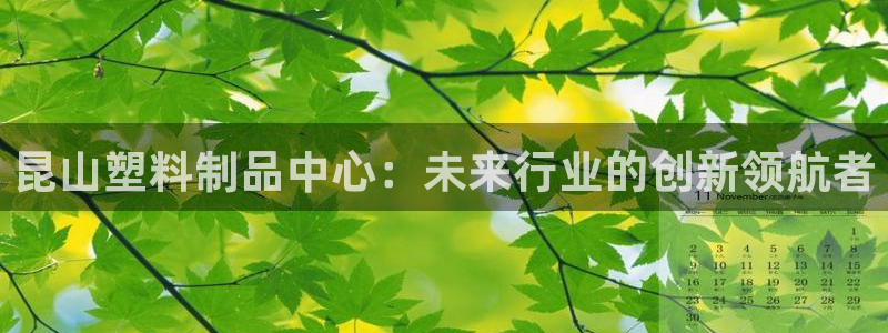 太阳集团城网址娱网首页：昆山塑料制品中心：未来行业的创新领航