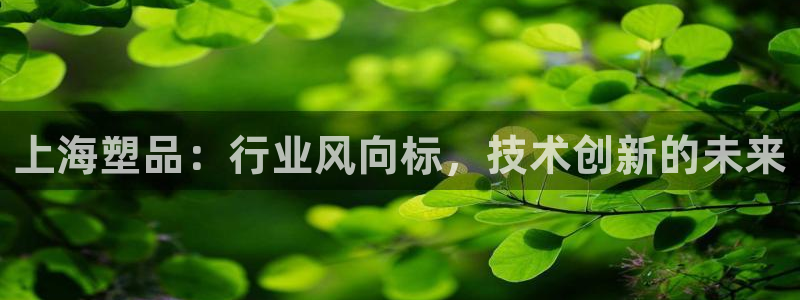 太阳集团2018登录网址是多少：上海塑品：行业风向标，技术创