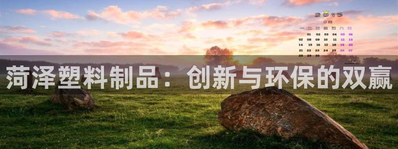 太阳成集团tyc7111cc电影：菏泽塑料制品：创新与环保的