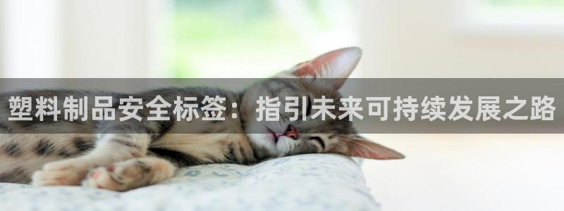 太阳集团城网站2：塑料制品安全标签：指引未来可持续发展之路