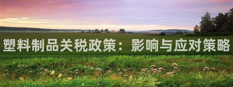 澳门太阳游戏城：塑料制品关税政策：影响与应对策略
