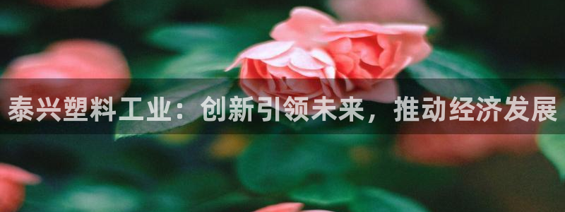 太阳集团城网站2017：泰兴塑料工业：创新引领未来，推动经济