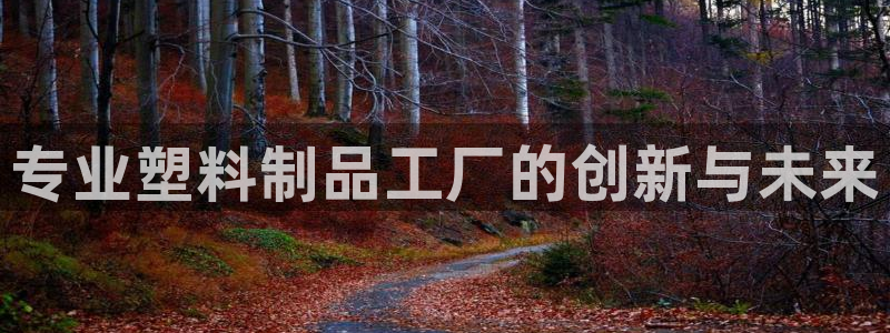 澳门太阳集团洗米华：专业塑料制品工厂的创新与未来