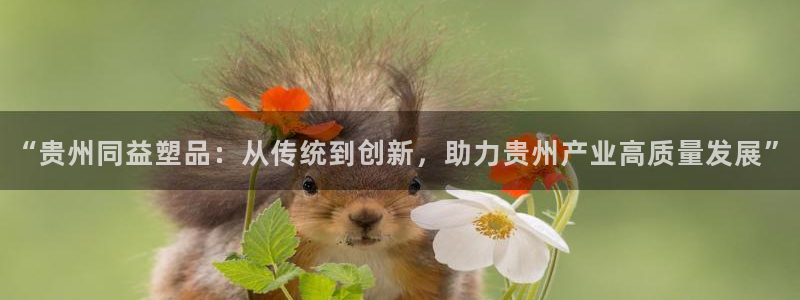 太阳科技集团：“贵州同益塑品：从传统到创新，助力贵州产业高质
